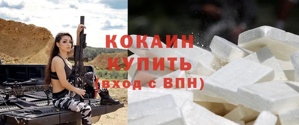 прущие грибы Михайловск