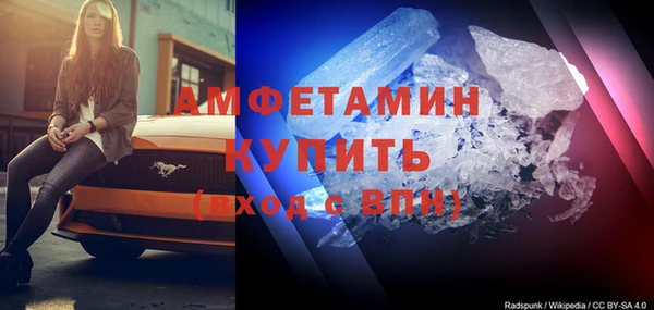 прущие грибы Михайловск