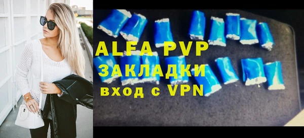 прущие грибы Михайловск