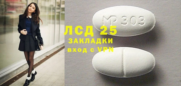 прущие грибы Михайловск