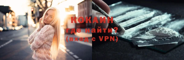 прущие грибы Михайловск