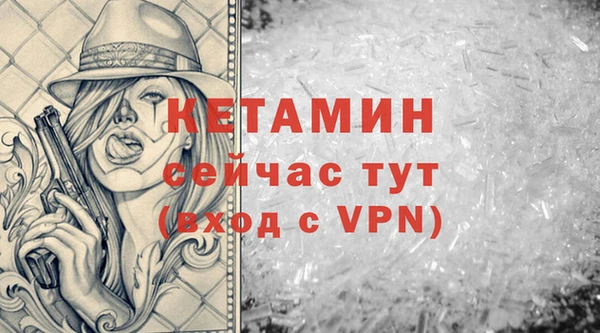 прущие грибы Михайловск