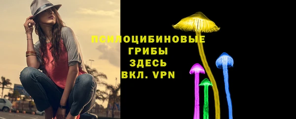 дурь Михайловка