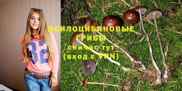 дурь Михайловка