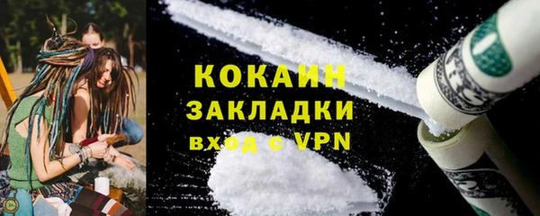 прущие грибы Михайловск