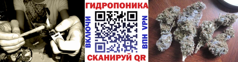 Купить  Пудож  Бошки марихуана White Widow 